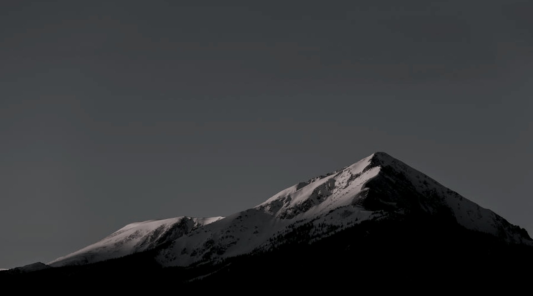 Ski Rebels feed visual